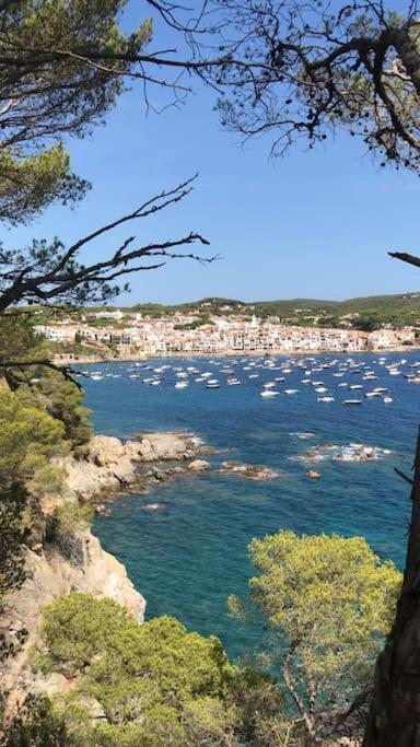 The Golden Oak In Calella Centre - 100M From Beach Palafrugell Exteriér fotografie
